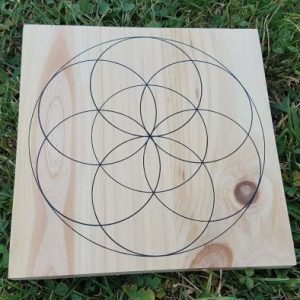 ondorama-graine-de-vie-20cm-onde-de-forme