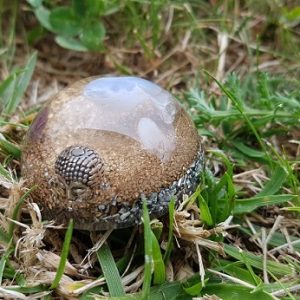 Ondorama orgonite detente demi-sphere 4cm dorée