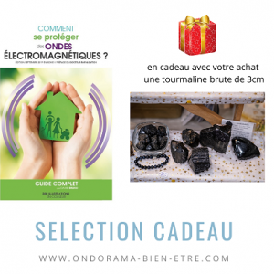 idées cadeaux fête des pères ondorama bien être