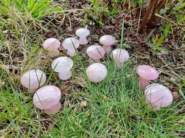 champignon de massage Ondorama Bien être