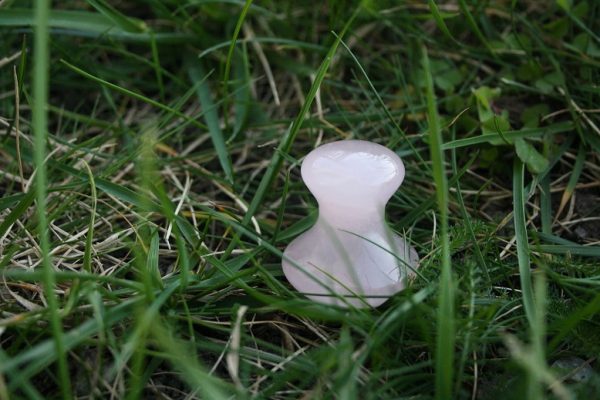 Jade : champignon de massage – Image 2