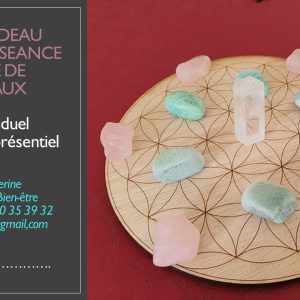 Bon cadeau pour consultation grille de cristaux ondorama bien etre