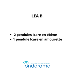 Commande Léa B.