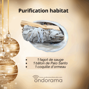 offre de Noël kit purification habitat Ondorama Bien Être