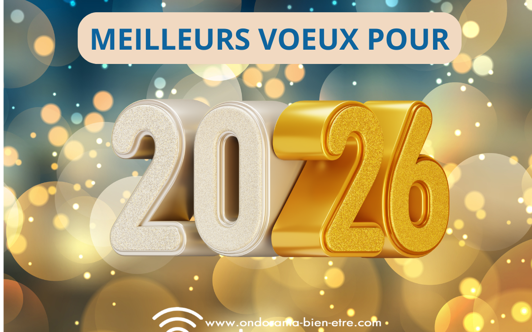 Meilleurs voeux pour 2026